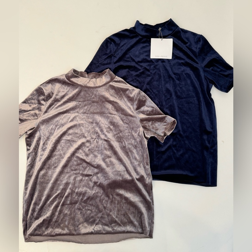 NWT Zara Basics Velvet Short Sleeve Tops - S